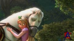 :   / Tangled