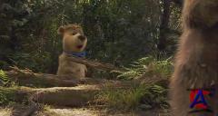   / Yogi Bear