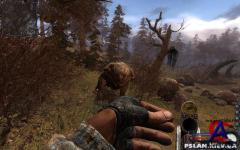 S.T.A.L.K.E.R :   ( )