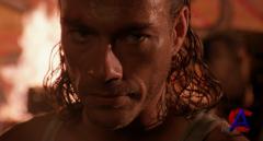   / Hard Target [HD]