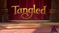 :   / Tangled