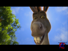  ,   / Shrek the Halls (HD 720p)
