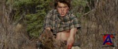    / Into the Wild