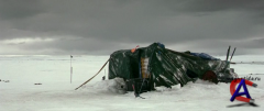   / The Last Winter