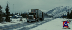    / Into the Wild