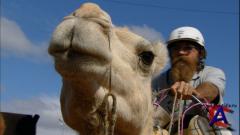 ����� ���������: ��������� / Discovery Atlas: Australia Revealed