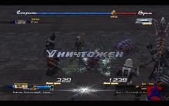 The Last Remnant