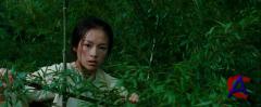  ,   / Wo hu cang long [HD]