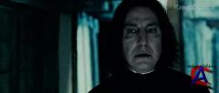     :  2 / Harry Potter and the Deathly Hallows: Part 2