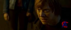     :  2 / Harry Potter and the Deathly Hallows: Part 2