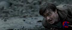     :  2 / Harry Potter and the Deathly Hallows: Part 2