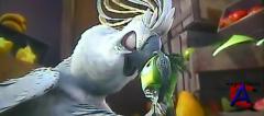  / Rio