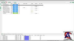 Torrent
