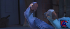  / Rio