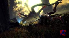 The Witcher 2 - Assassins Of Kings /  2 -  