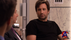   /  / Californication (4 )