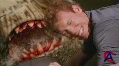   / Swamp Shark