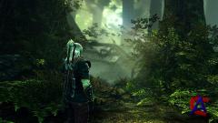 The Witcher 2 - Assassins Of Kings /  2 -  