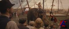  ! / Water for Elephants