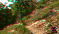   3D / Magic forest 3D