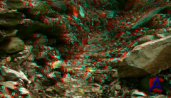   3D / Magic forest 3D