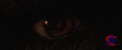   / Red Riding Hood [HD]