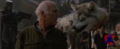   / Red Riding Hood [HD]