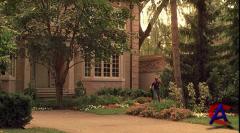  -  / The Virgin Suicides