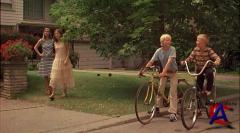  -  / The Virgin Suicides