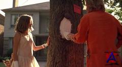  -  / The Virgin Suicides