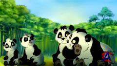    / Little Big Panda