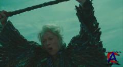  / The Tempest