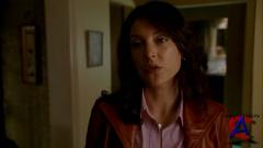    / Criminal Minds[1 ]