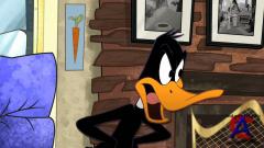    / The Looney Tunes Show