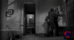   / Rumble Fish