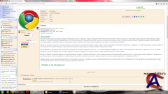 Google Chrome 12.0.742.112 Final