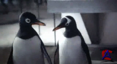    / Mr. Poppers Penguins