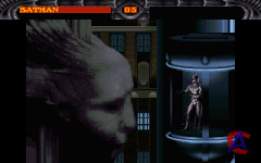   / Batman Forever