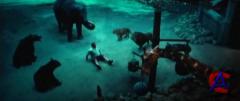     / Zookeeper