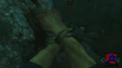 Far Cry 3