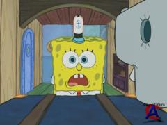     / SpongeBob SquarePants (7 )