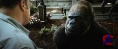    / Zookeeper