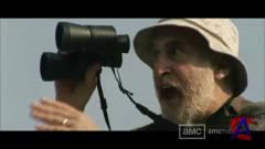   / Walking Dead, The