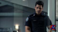- / Rookie Blue[2 ]