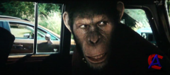    / Rise of the Planet of the Apes (CAMRip + TS *PROPER*)