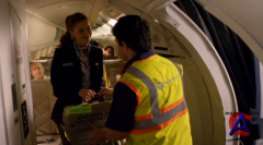  2:  / Quarantine 2: Terminal