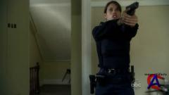 - / Rookie Blue[1 ]