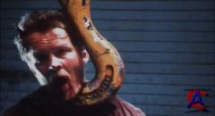   5 / Final Destination 5