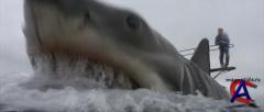  / Jaws