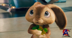   / Hop